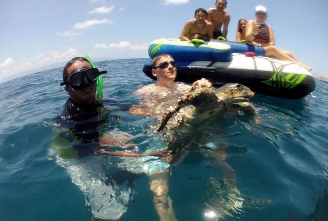 Snorkel con tortugas